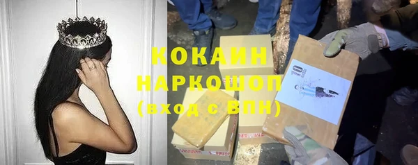 мяу мяу мука Баксан