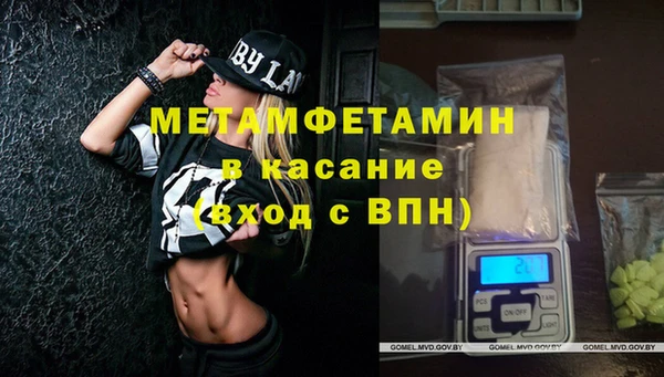 мяу мяу мука Баксан