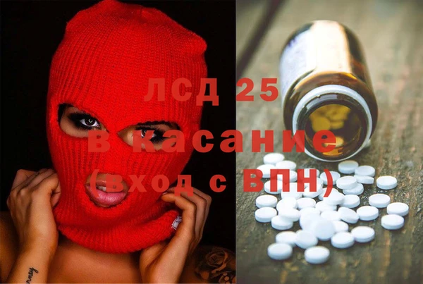 мяу мяу мука Баксан