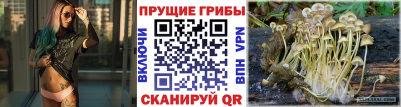Псилоцибиновые грибы GOLDEN TEACHER  Давлеканово 