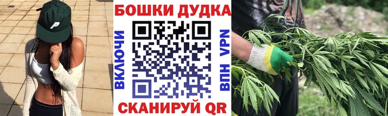 где купить   Давлеканово  Канабис семена 